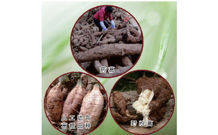 買葛粉是買野生的好？還是野生有機(jī)的好？