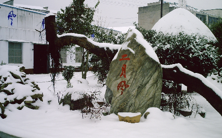 二月風(fēng)致老友：一碗葛根粉的牽掛，農(nóng)博會上的重逢之約二月風(fēng)盼老友：農(nóng)博會上，再續(xù)葛粉情緣